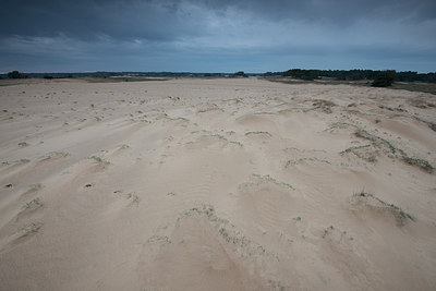 BUITEN BEELD Foto: 269161