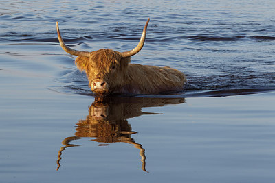 BUITEN BEELD Foto: 269194