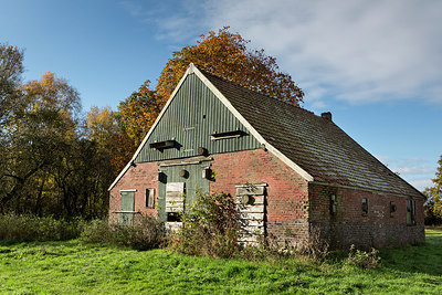 BUITEN BEELD Foto: 269239