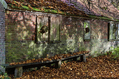 BUITEN BEELD Foto: 269241