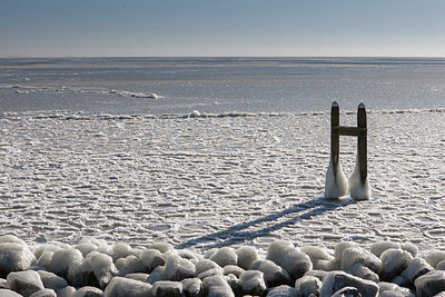 BUITEN BEELD Foto: 269267