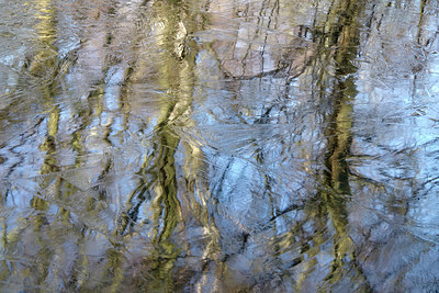 BUITEN BEELD Foto: 269269
