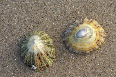 BUITEN BEELD Foto: 269274