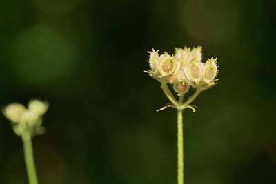 BUITEN BEELD Foto: 269292