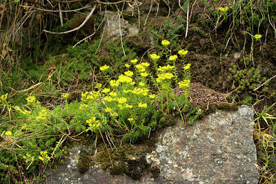 BUITEN BEELD Foto: 269301
