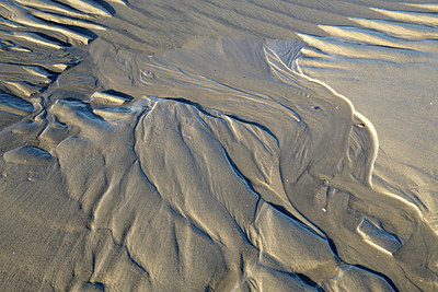 BUITEN BEELD Foto: 269305