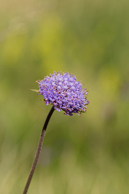 BUITEN BEELD Foto: 269328