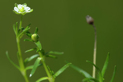 BUITEN BEELD Foto: 269346