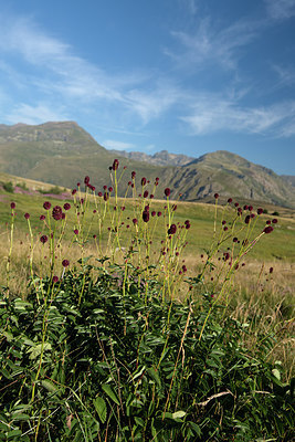 BUITEN BEELD Foto: 269351