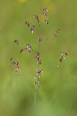BUITEN BEELD Foto: 269404