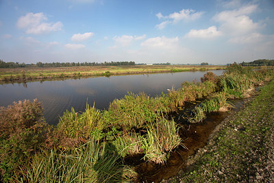 BUITEN BEELD Foto: 269422