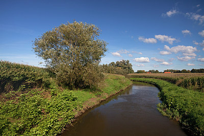 BUITEN BEELD Foto: 269426