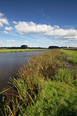 BUITEN BEELD Foto: 269430