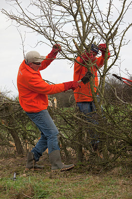 BUITEN BEELD Foto: 269438