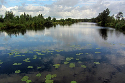 BUITEN BEELD Foto: 269443