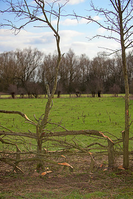 BUITEN BEELD Foto: 269446