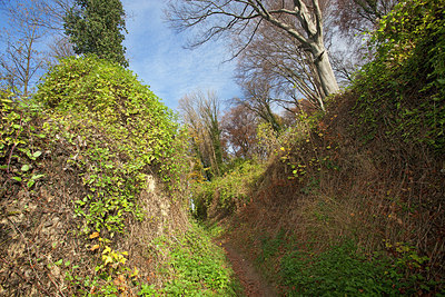 BUITEN BEELD Foto: 269448