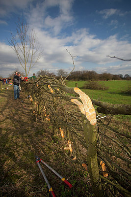 BUITEN BEELD Foto: 269451