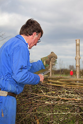 BUITEN BEELD Foto: 269454