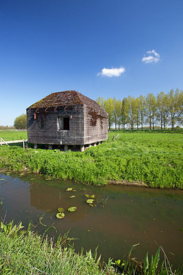 BUITEN BEELD Foto: 269470