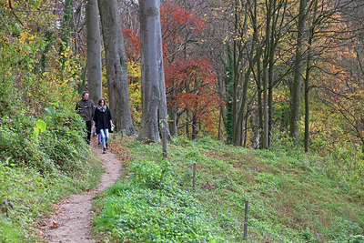 BUITEN BEELD Foto: 269476
