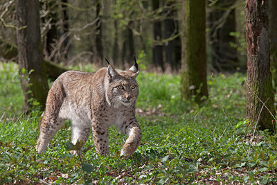 BUITEN BEELD Foto: 269555