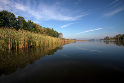 BUITEN BEELD Foto: 269648