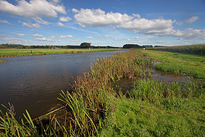 BUITEN BEELD Foto: 269652