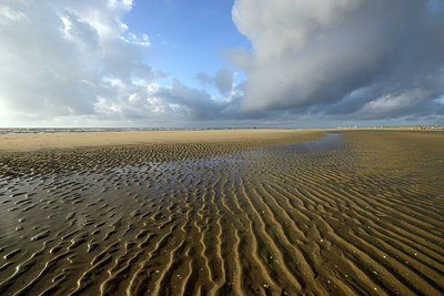 BUITEN BEELD Foto: 269966