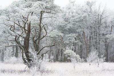 BUITEN BEELD Foto: 269975