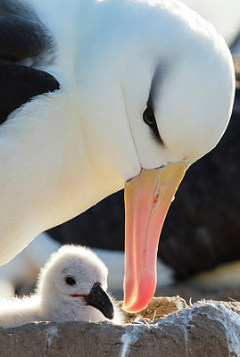 BUITEN BEELD Foto: 269993
