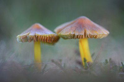 BUITEN BEELD Foto: 270002