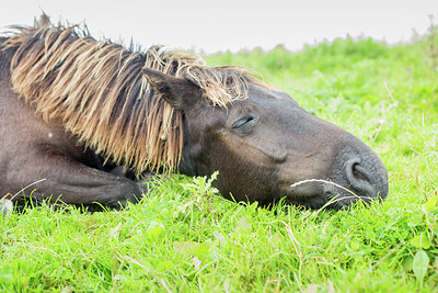 BUITEN BEELD Foto: 270012