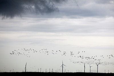 BUITEN BEELD Foto: 270015