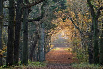 BUITEN BEELD Foto: 270040