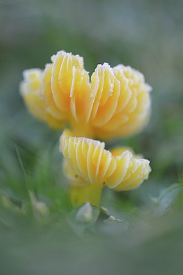 BUITEN BEELD Foto: 270049