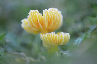 BUITEN BEELD Foto: 270050