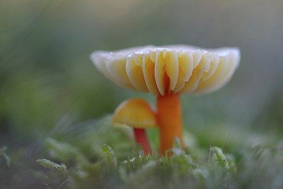 BUITEN BEELD Foto: 270083