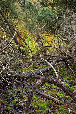 BUITEN BEELD Foto: 270085