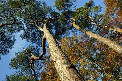 BUITEN BEELD Foto: 270091