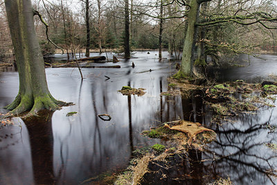 BUITEN BEELD Foto: 270142