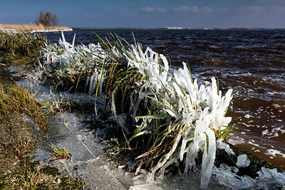 BUITEN BEELD Foto: 270164