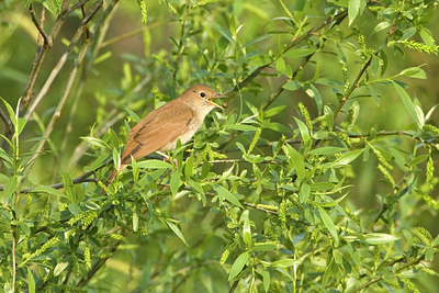 BUITEN BEELD Foto: 270276