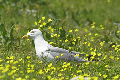 BUITEN BEELD Foto: 270293