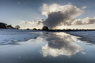 BUITEN BEELD Foto: 270304