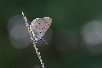 BUITEN BEELD Foto: 270327