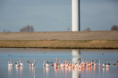 BUITEN BEELD Foto: 270349