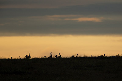 BUITEN BEELD Foto: 270373