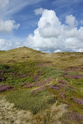 BUITEN BEELD Foto: 270549