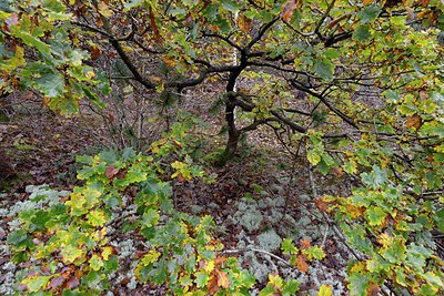 BUITEN BEELD Foto: 270552